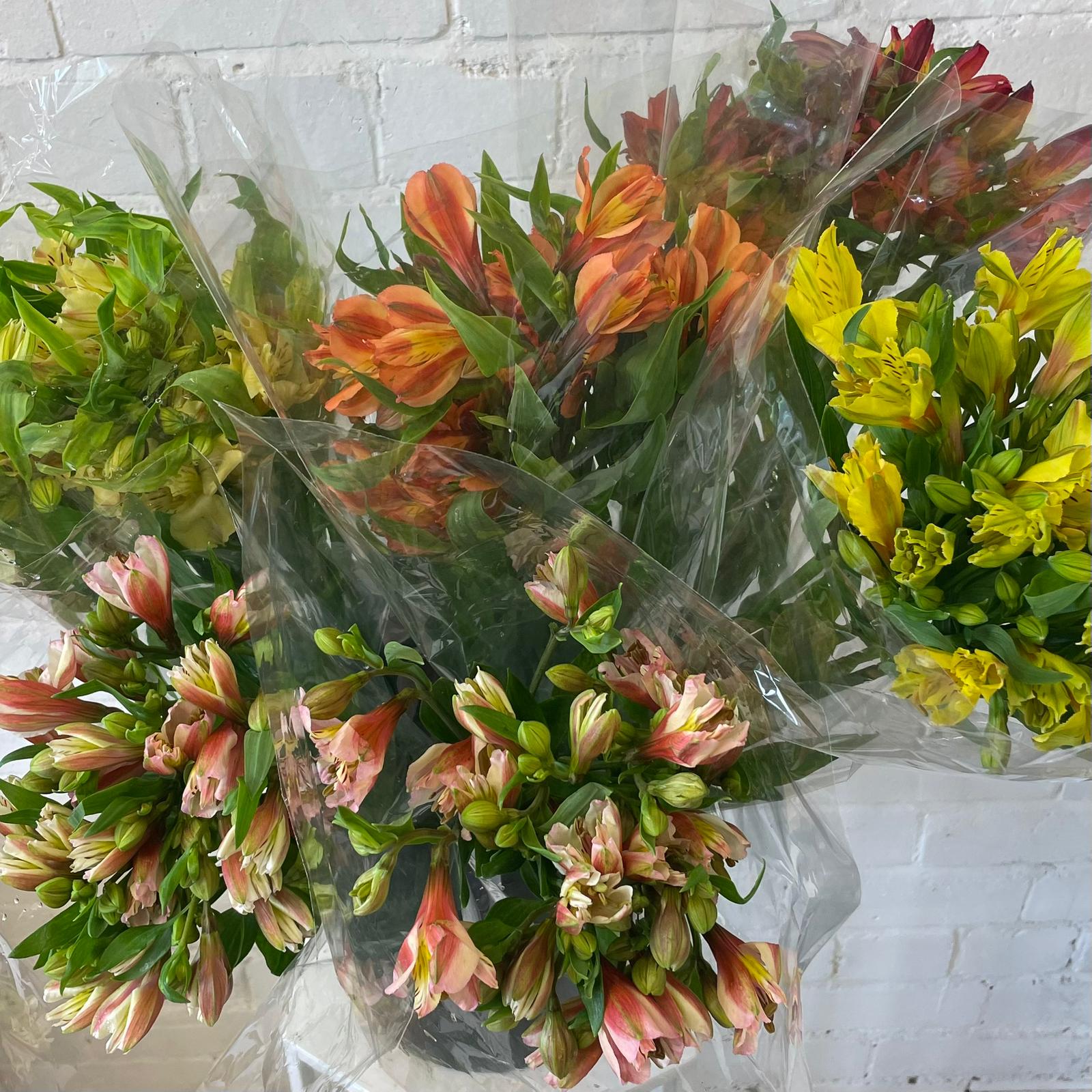 FARM SHOP Alstro x 6 bunches x 5 Stems