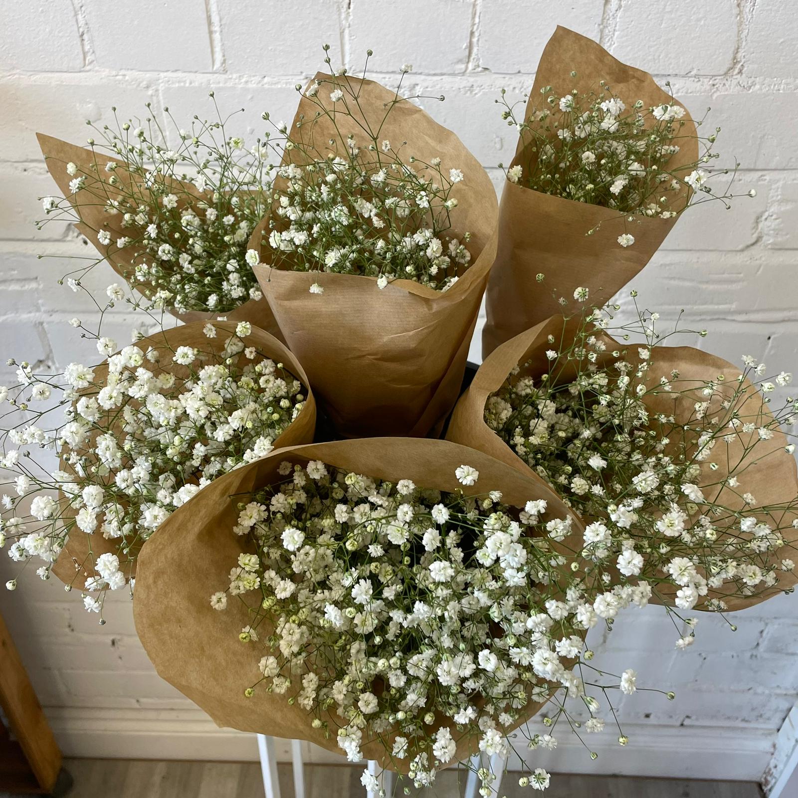 FARM SHOP Gypsophila 6 bunches x bunch