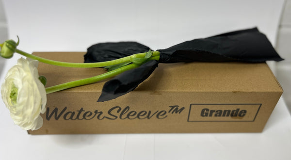 **NEW** WaterSleeve™ Grande