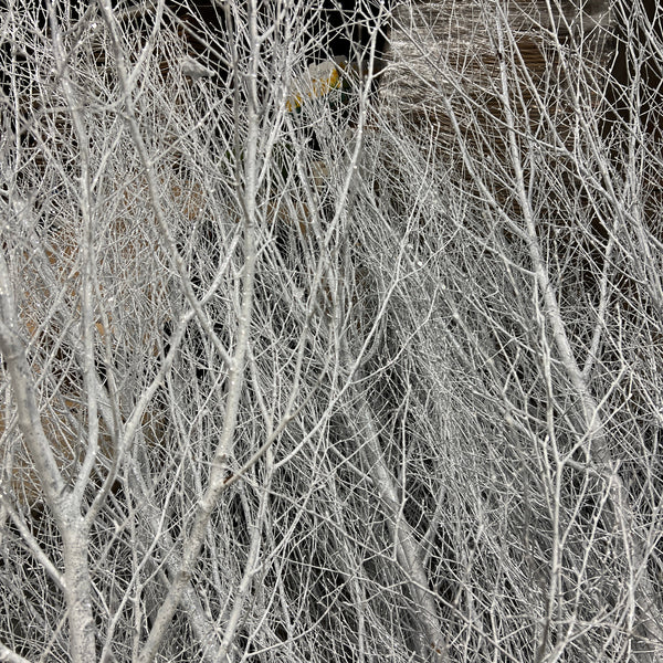 TREES - Birch white with silver glitter