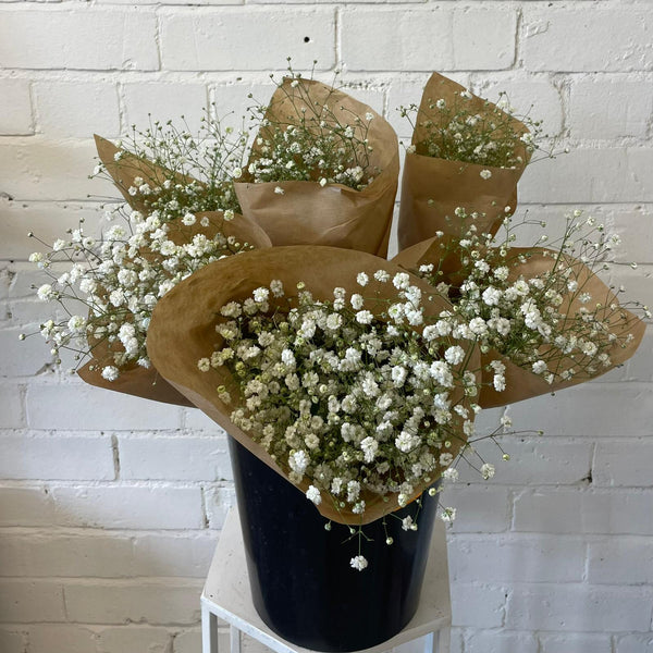 FARM SHOP Gypsophila 6 bunches x bunch