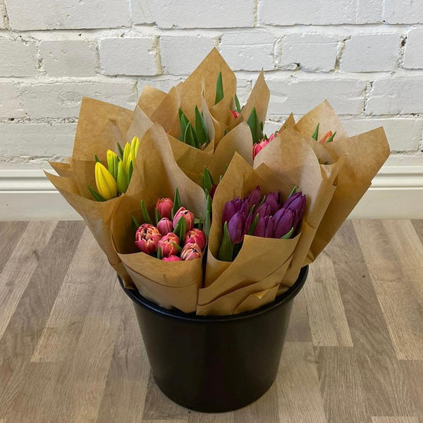 FARM SHOP Tulip 6 bunches x 8 Stems