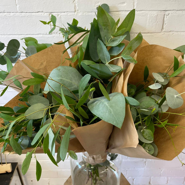 FARM SHOP Eucalyptus 6 bunches