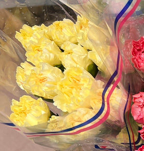 IMPORT - Standard Carnation - Yellow 25 stems