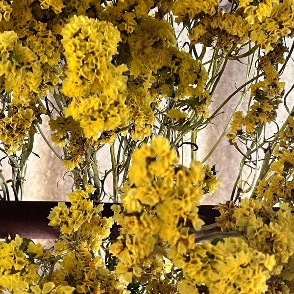 color mix dried flowers