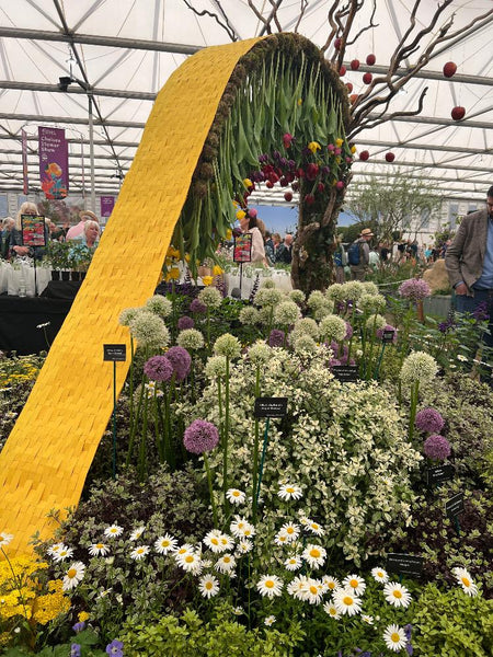 Chelsea flower show