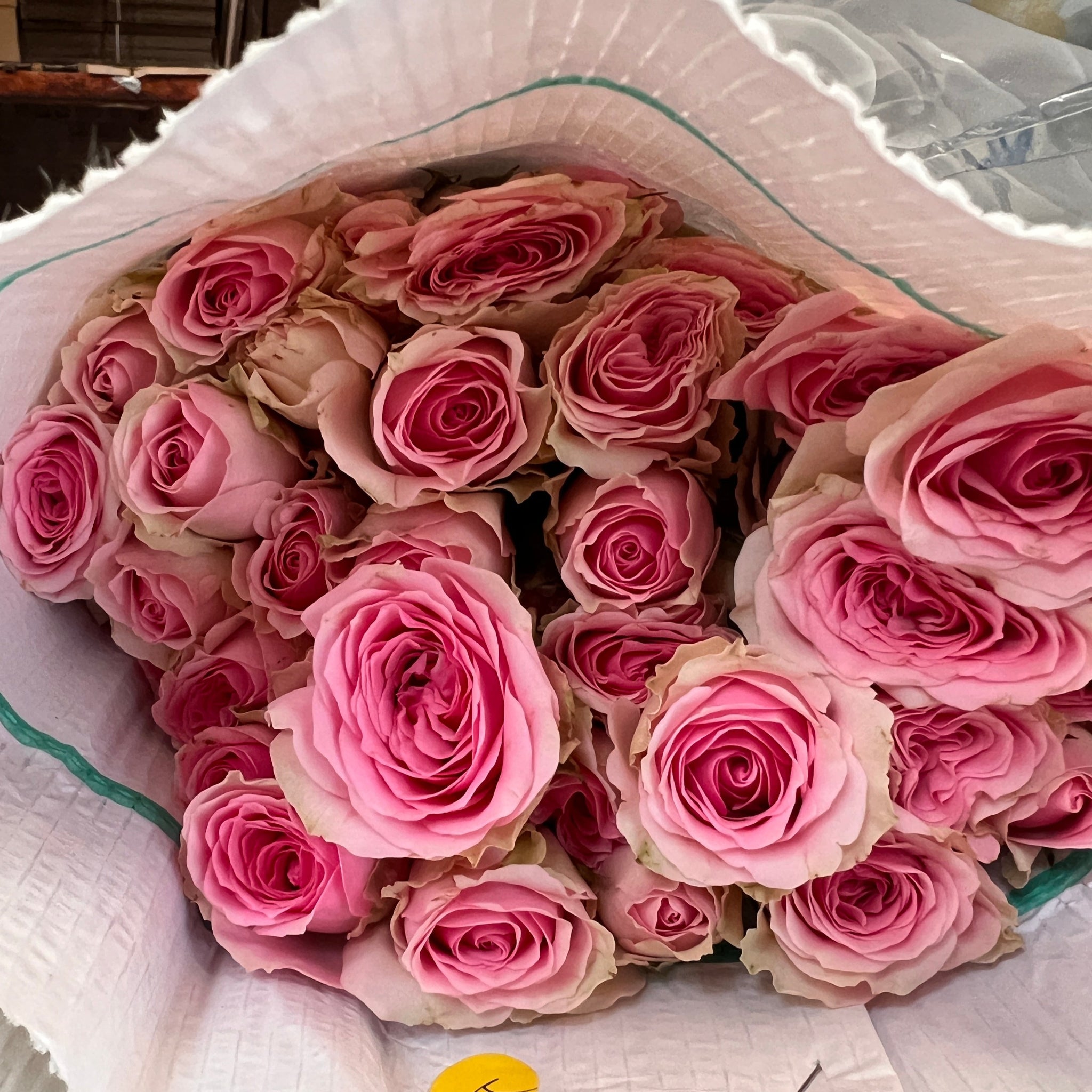 IMPORT - ROSE Spray PINK 60cm 10 stems