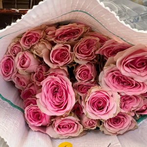 IMPORT - ROSE Spray PINK 60cm 10 stems