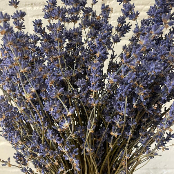 Lavender Dried Bunches