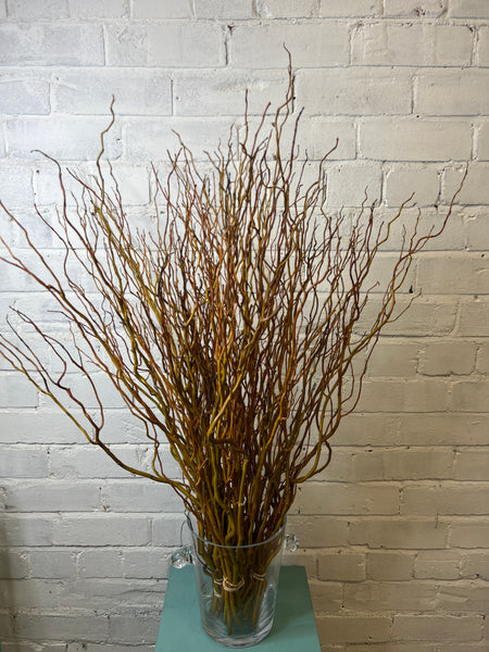 Willow - Wobbly 80cm *BOX OFFER* 100 stems