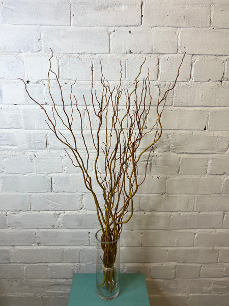 Willow - Wobbly 80cm *BOX OFFER* 100 stems