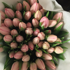 pink buy tulips